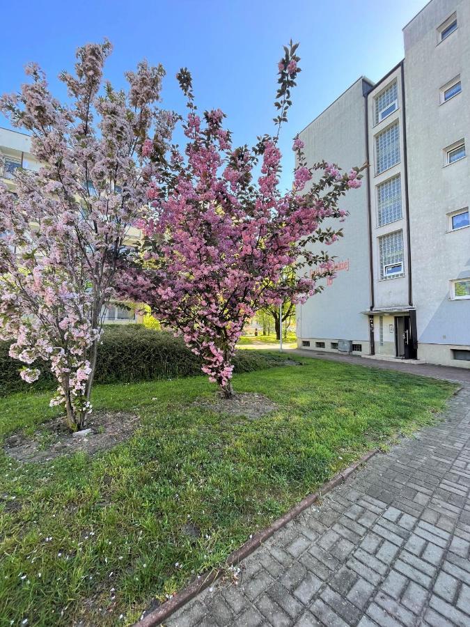 Al-Dom Apartamenty Apartament Zaciszny Колобжег Екстер'єр фото